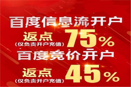 解析SEM托管公司经典案例：如何制定有效的广告策略